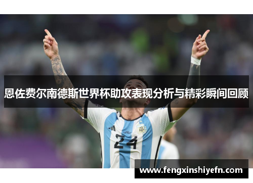 恩佐费尔南德斯世界杯助攻表现分析与精彩瞬间回顾