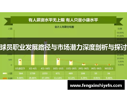 球员职业发展路径与市场潜力深度剖析与探讨