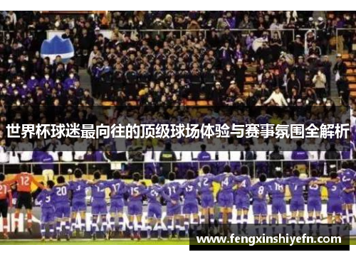 世界杯球迷最向往的顶级球场体验与赛事氛围全解析
