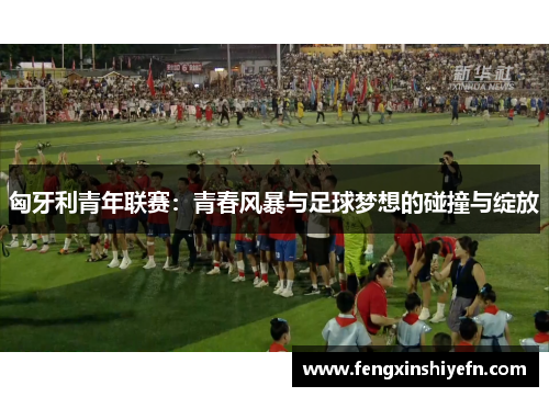 匈牙利青年联赛：青春风暴与足球梦想的碰撞与绽放