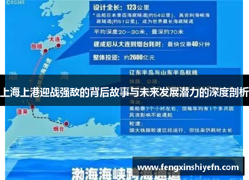 上海上港迎战强敌的背后故事与未来发展潜力的深度剖析