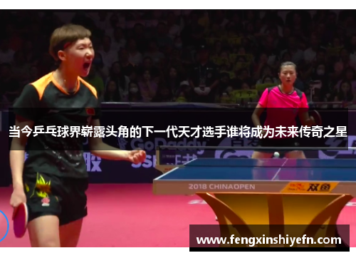 当今乒乓球界崭露头角的下一代天才选手谁将成为未来传奇之星